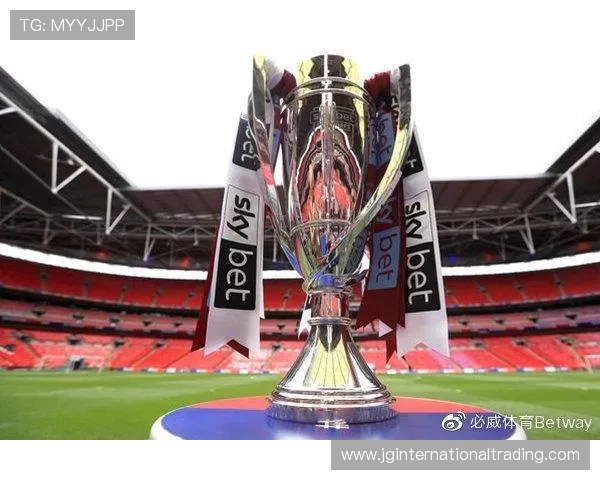 必威体育官网赛事直播与回放，第一时间享受精彩体育盛事