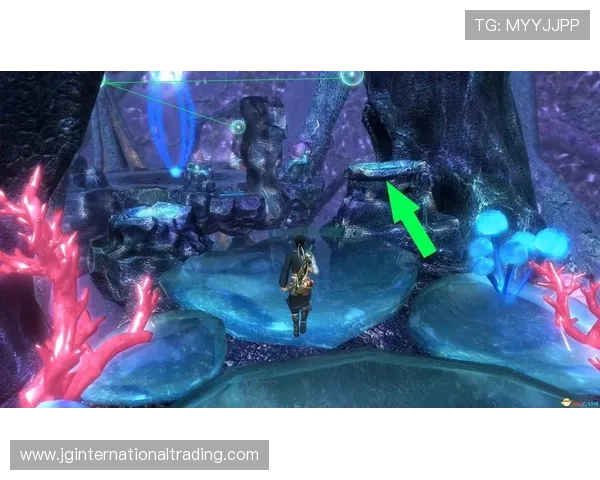 博鱼官网在线登录入口全流程指南帮助玩家顺利进入游戏体验最佳娱乐体验