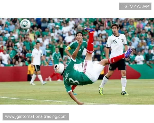 m6体育平台的用户评价与口碑分析，帮助你选择最值得信赖的体育娱乐平台